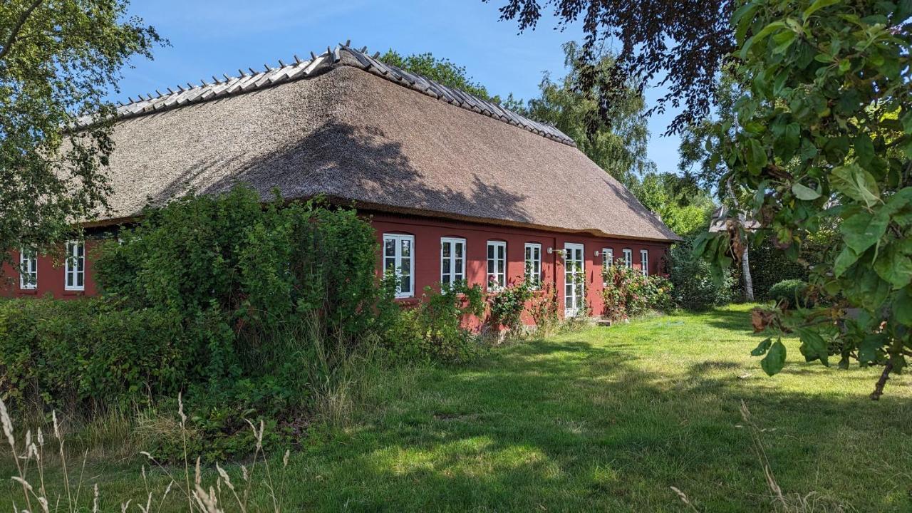 Under Valnodden Acomodação com café da manhã Stubbekøbing Exterior foto